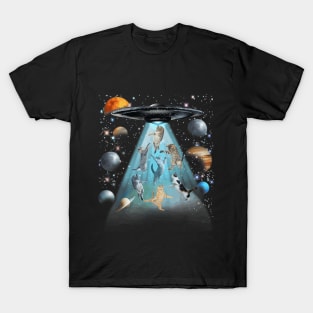 Crazy cats Flying in space T-Shirt